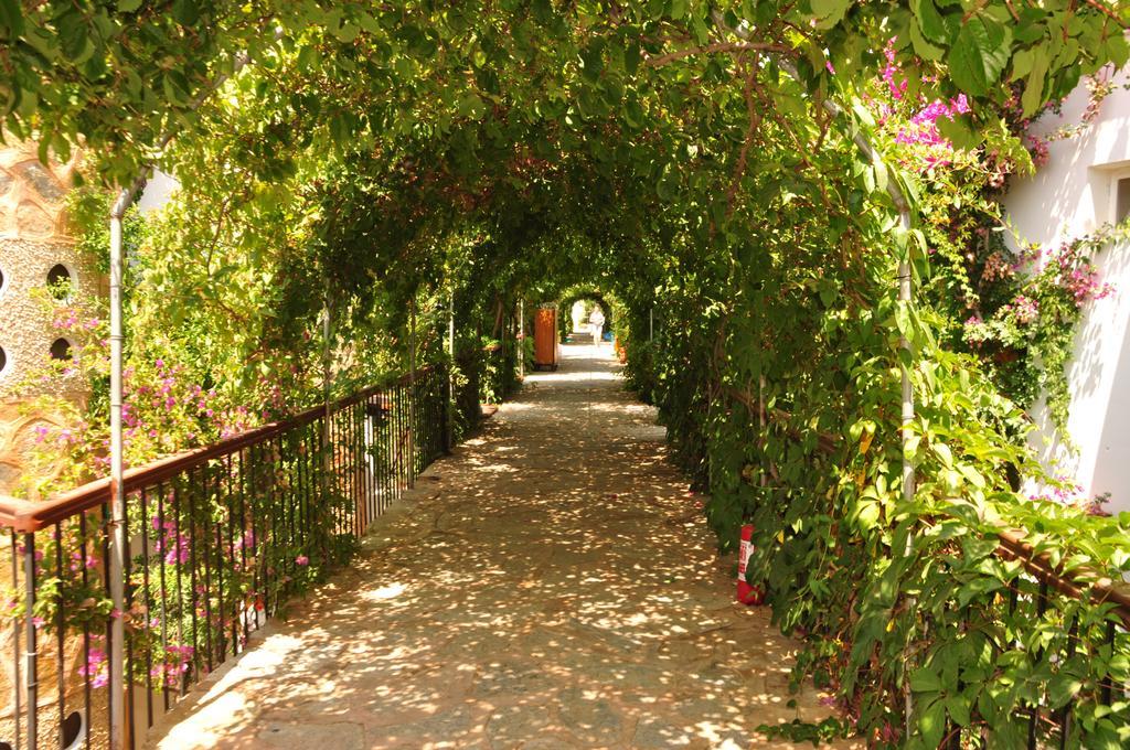 בודרום Siesta Beach Apartment מראה חיצוני תמונה