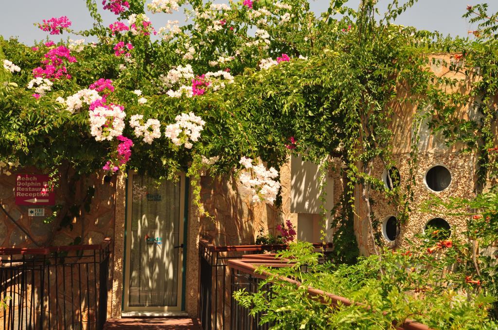 בודרום Siesta Beach Apartment מראה חיצוני תמונה