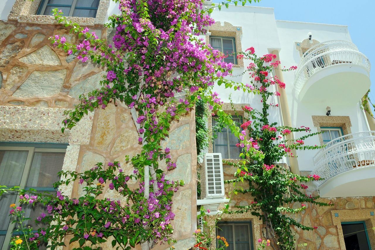 בודרום Siesta Beach Apartment מראה חיצוני תמונה